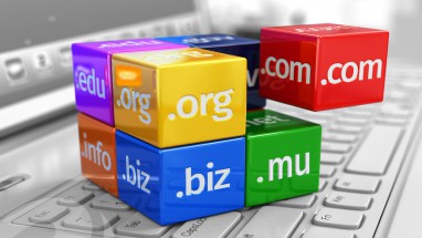 What is a domain name .mu .org .net for Mauritius Companies
